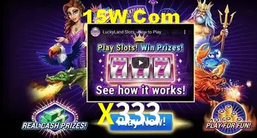 X333 - Winners Celebration